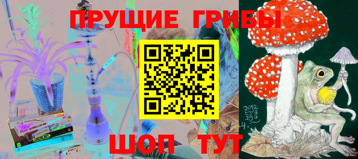 Краснокаменск  Псилоцибиновые грибы Psilocybine cubensis  Вход с VPN  магазин продажи наркотиков  Псилоцибиновые грибы прущие грибы 